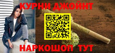 СК Гатчина