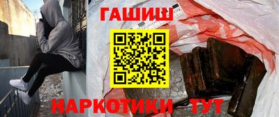 СК Гатчина