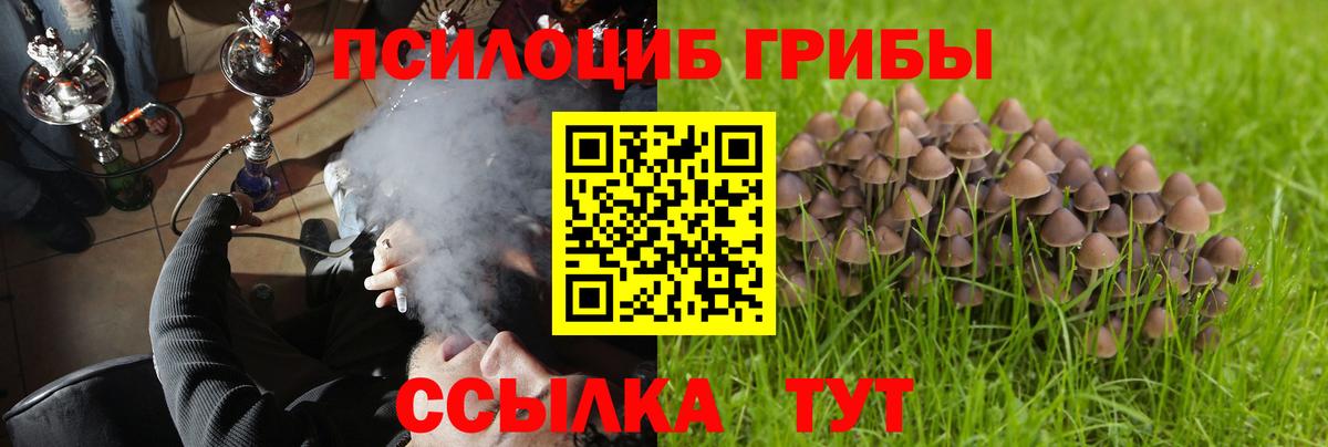 Псилоцибиновые грибы MAGIC MUSHROOMS Королёв